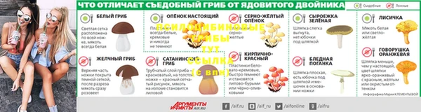 прущая мука Арсеньев