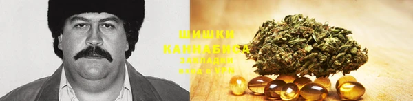прущая мука Арсеньев