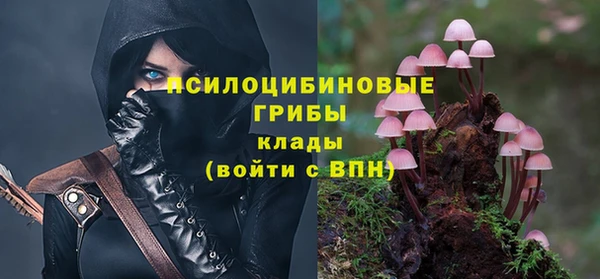 прущая мука Арсеньев
